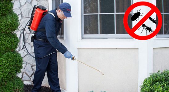 Hemşin Gümüşkurt İlaçlama böcek ilaçlama ve haşere kontrolü — ilaclama-tr.com